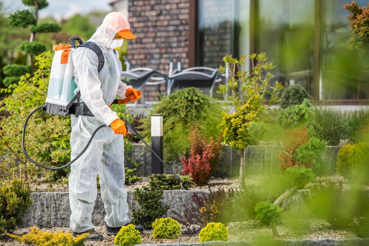 1st Pest Control Phoenix project