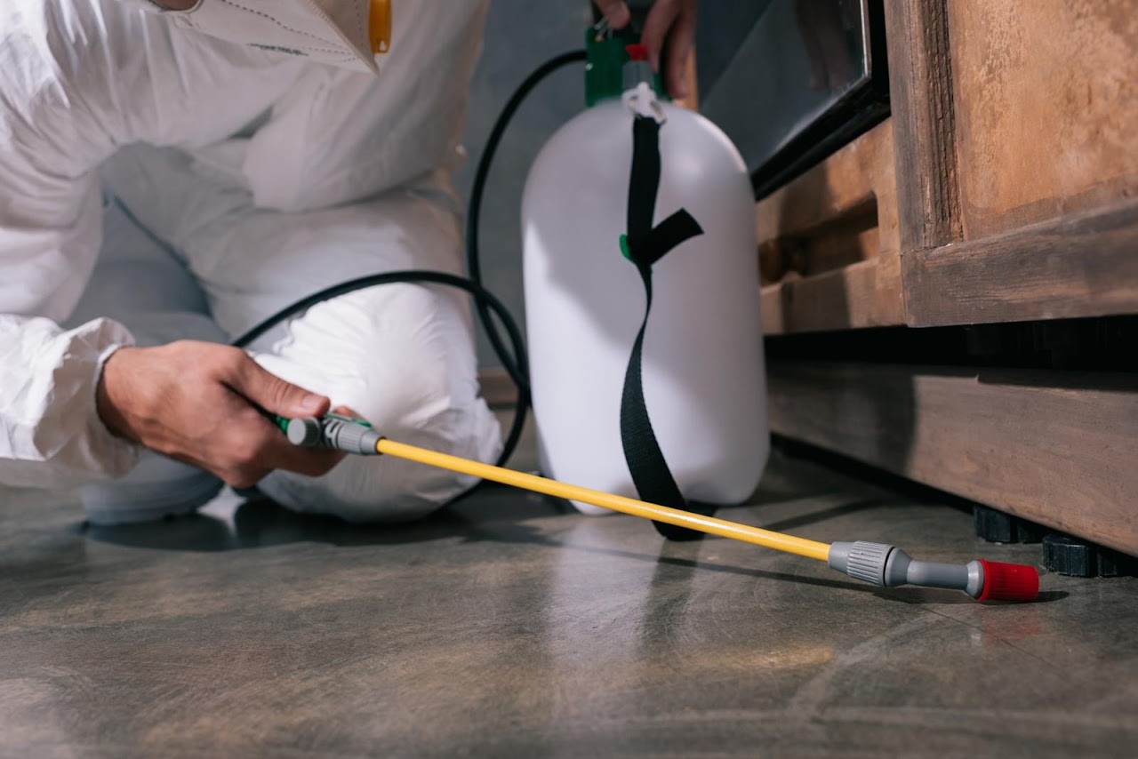 1st Pest Control Phoenix project